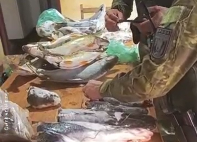Batalhão Ambiental combate pesca predatória e doa 70 kg de pescado para instituição em Rio Verde