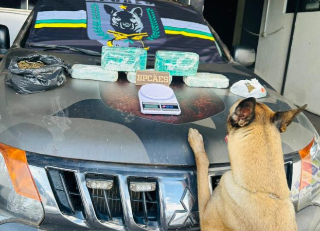 Cães farejadores encontram quase 6 kg de drogas escondidos em casa no Jardim América, em Rio Verde