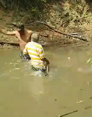 Vídeo: pescador pega em peixe elétrico e cai paralisado com o choque