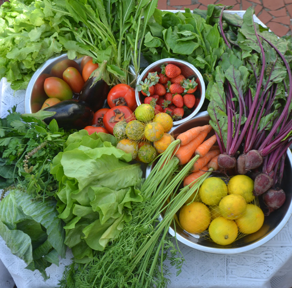 Pesquisa mostra redução de preços em algumas frutas e verduras 