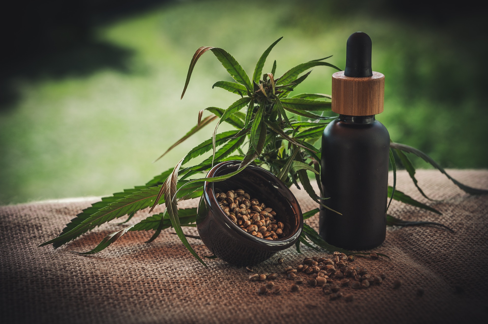 Decisão do CFM  suspende resolução sobre a prescrição da Cannabis medicinal