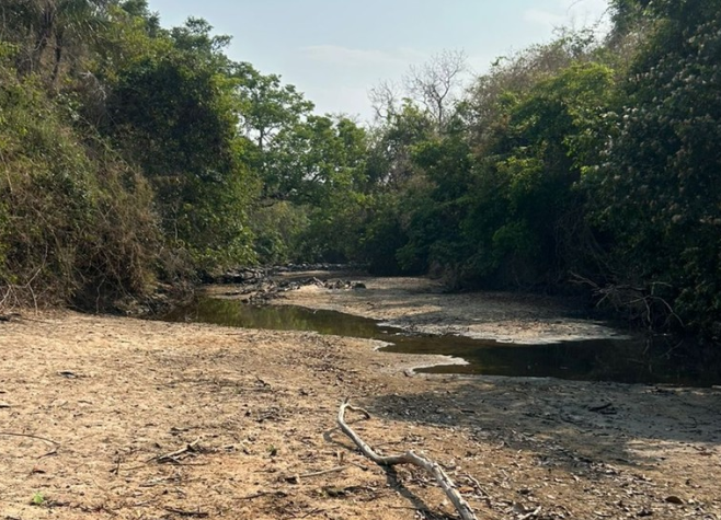 Moradores de cidade de Goiás estão sem água após rio secar completamente