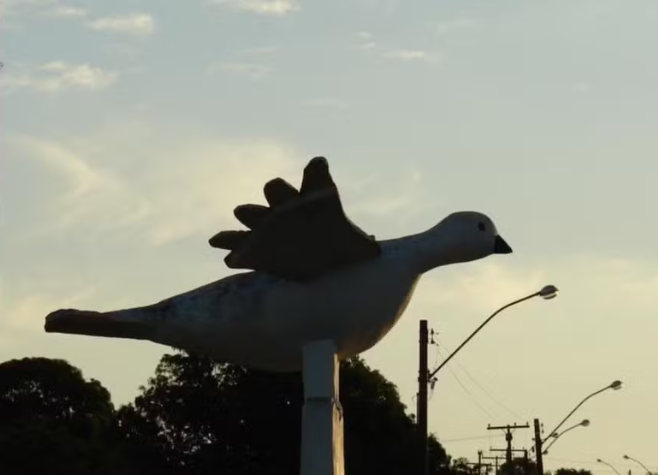 Goiás