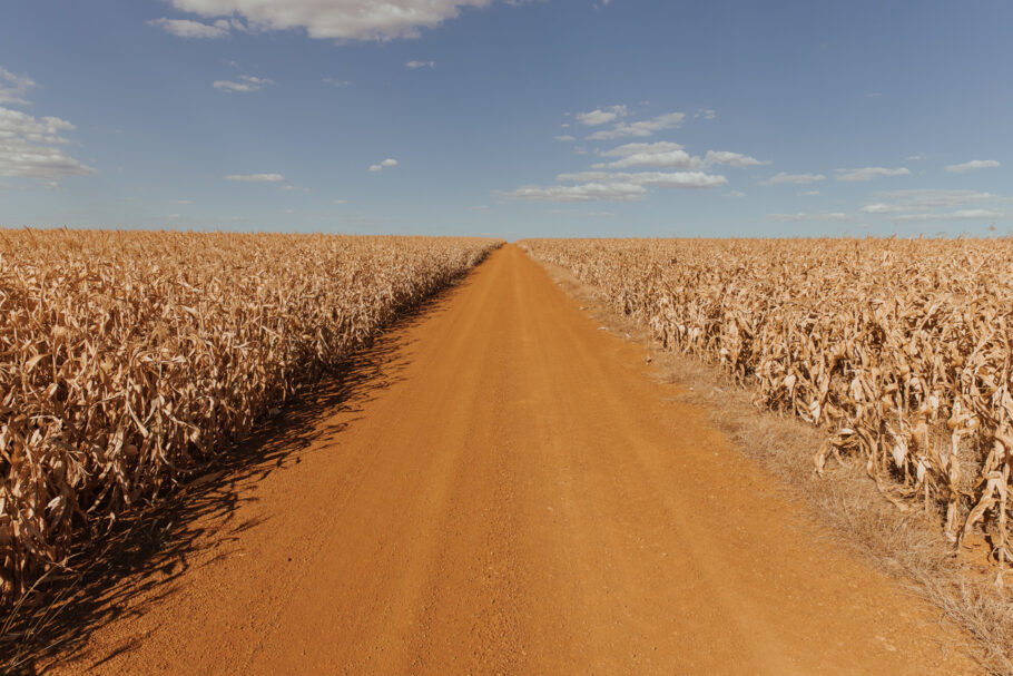 Sistema Faeg/Senar lança programa para contratação de profissionais do agro