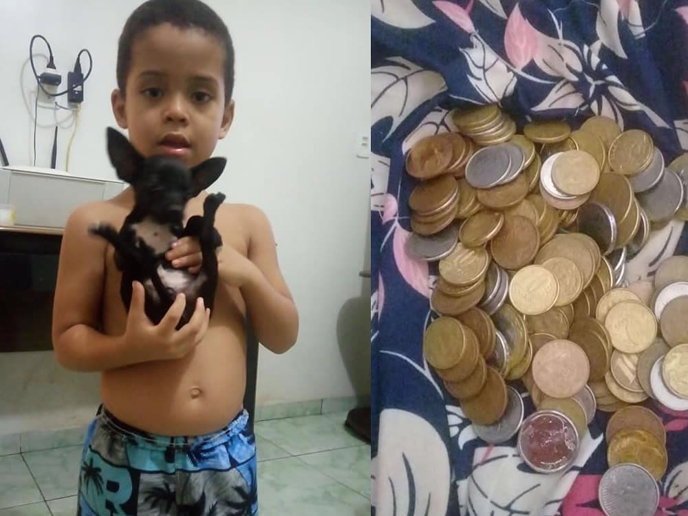 Garoto oferece seu cofrinho de moedas como recompensa a quem achar seu cachorrinho