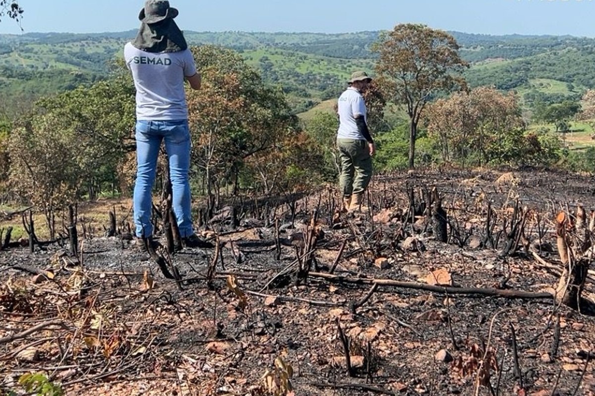 Fiscalização registra recorde de desmatamentos na 2ª semana em dezembro em Goiás