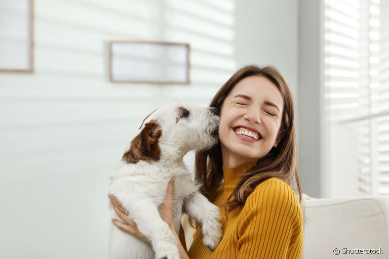 Comissão aprova regra sobre guarda compartilhada de animais em casos de separação