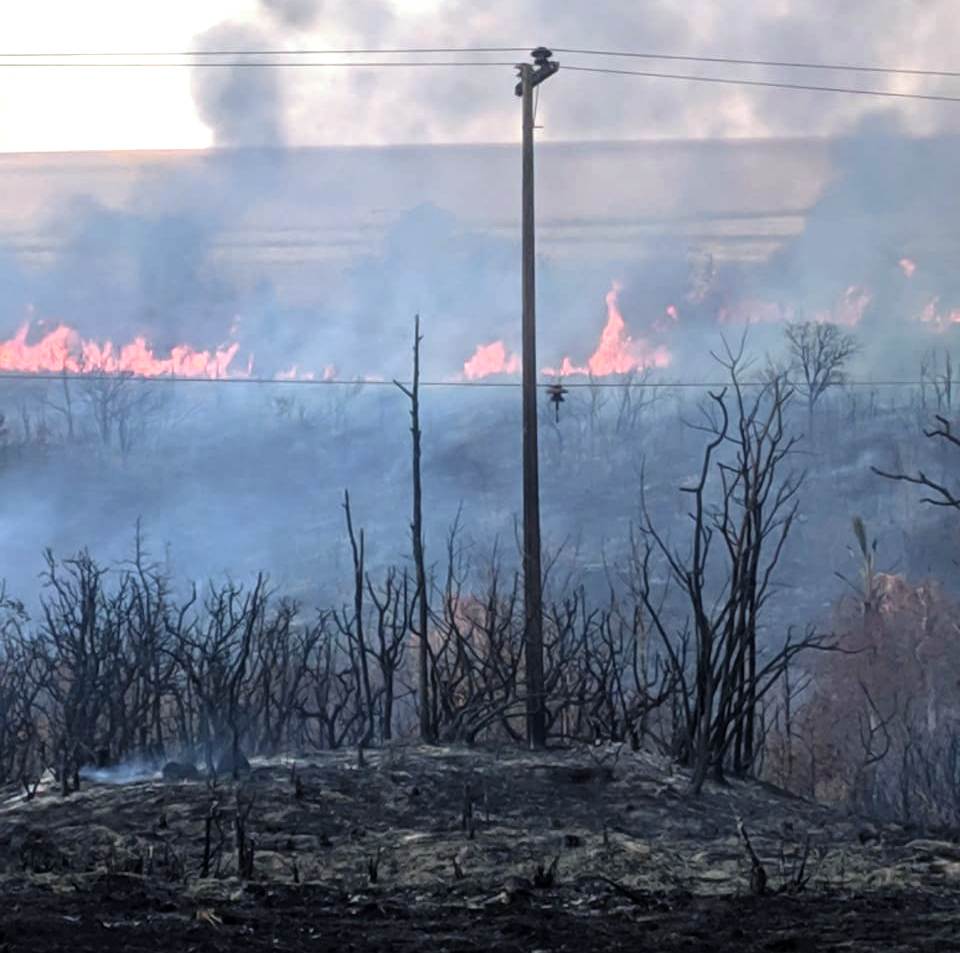 Jornal Somos - Enel Goiás alerta para risco de queimadas próximo à