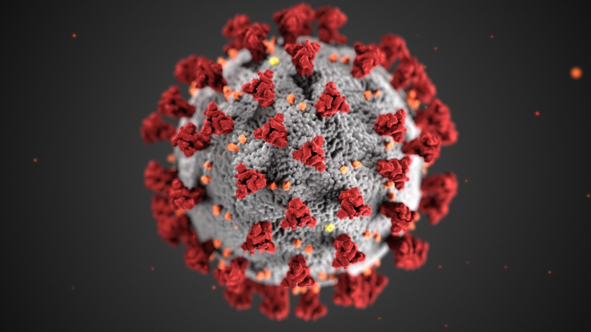 Estudo afirma que a subvariante da Ômicron é mais infecciosa que a cepa original