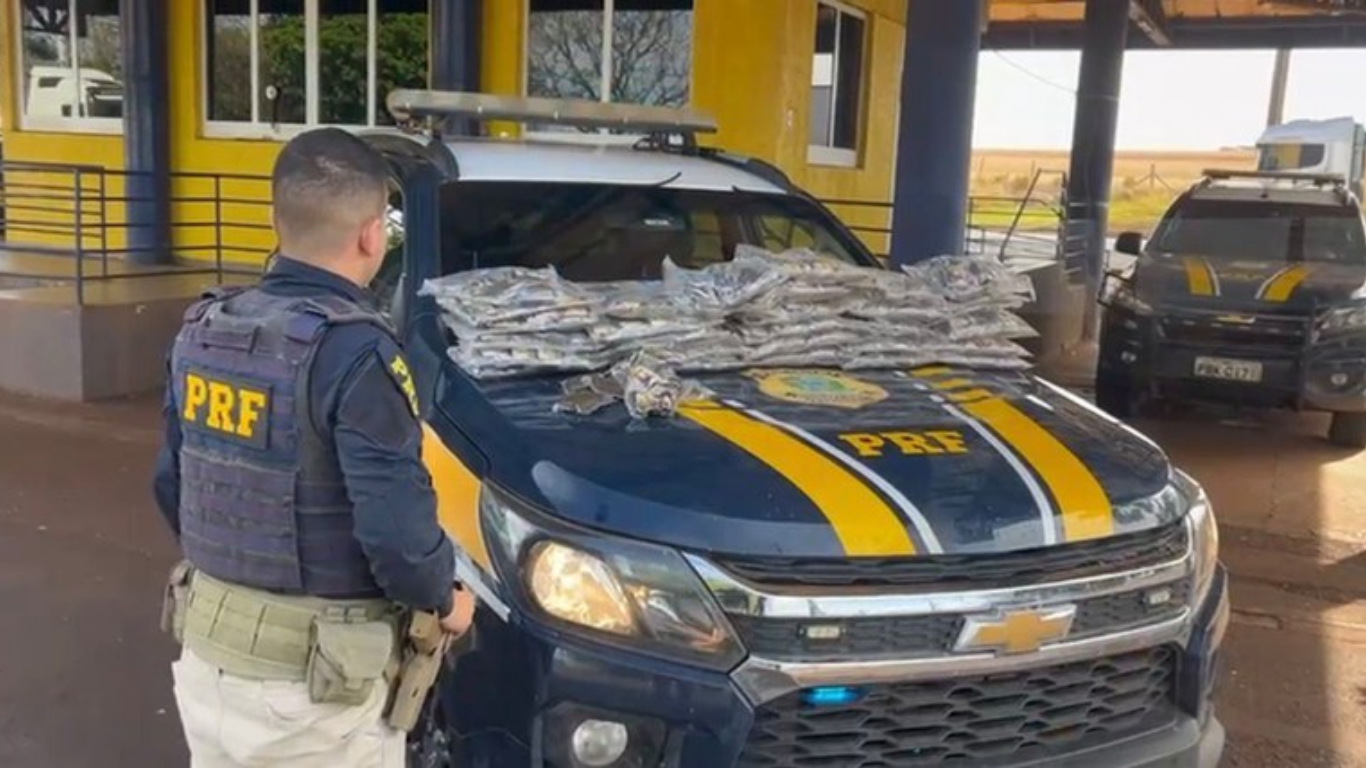 PRF apreende 31 quilos de haxixe na BR-153