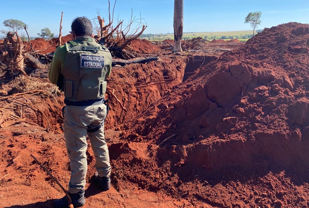 Com dados do Ministério da Justiça Goiás terá mais eficiência em notificar autuados por crimes ambientais