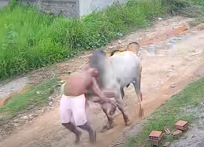 Brasil