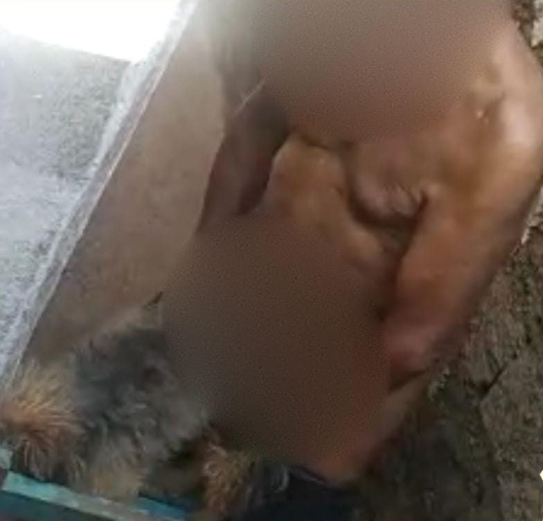 Homem é preso após abusar sexualmente de um cachorro no bairro Martins de Rio Verde
