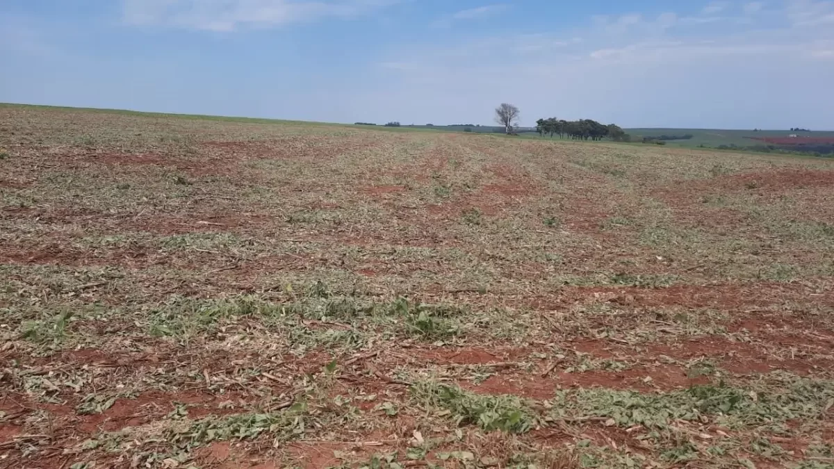 Faeg alerta para mudanças climáticas que afetam produção agrícola