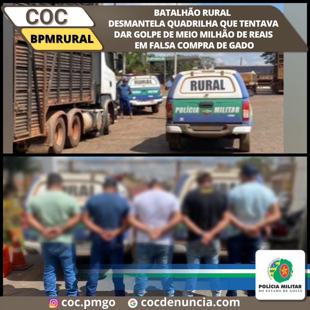 Batalhão Rural prende quadrilha que daria golpe de falsa compra de gado em Rio Verde