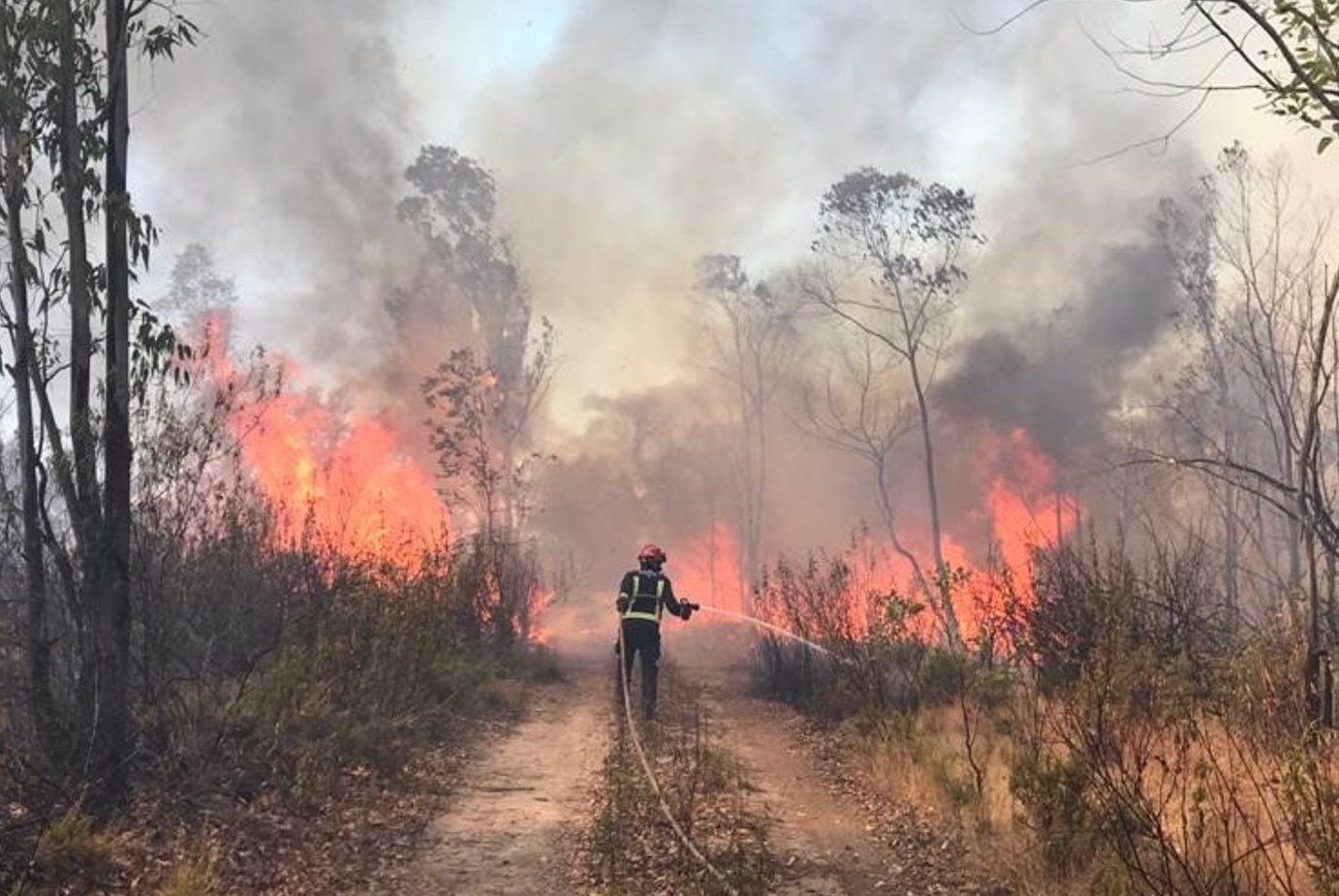 Focos de incêndios florestais em parques caem 80% em Goiás, diz Semad