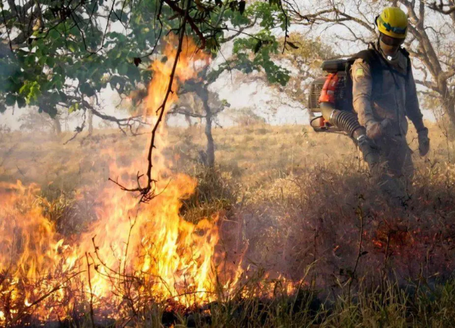 Queimadas podem gerar prejuízos de até R$ 1,5 bilhão para Goiás, em 2024