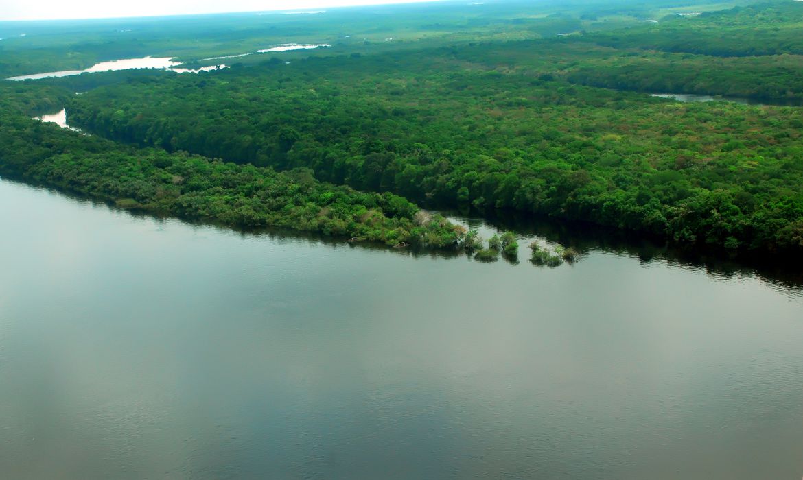 INPE: Dados parciais apontam queda no desmatamento da Amazônia em janeiro