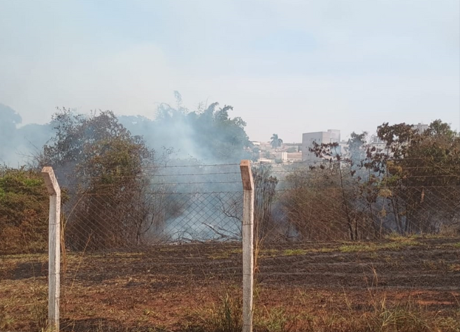 Suspeito que ateou fogo em área de preservação permanente no Interlagos é preso pela GCM