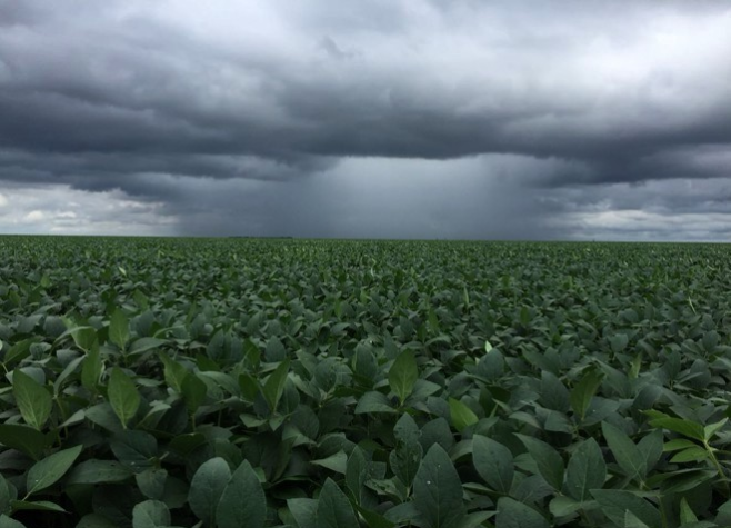 Plantio da soja avança sem atrasos em Goiás, mas clima preocupa produtores