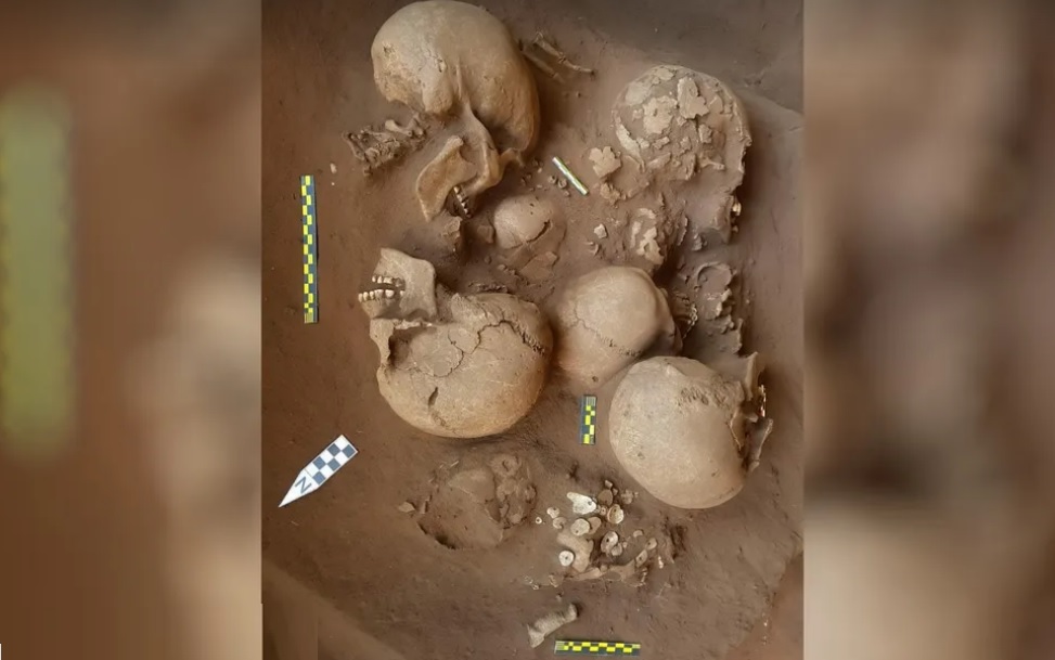 Pesquisadores descobrem 10 crânios milenares em Serranópolis