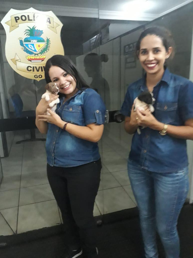 Polícia de Rio Verde cede abrigo e ajuda em doação para cadela e filhotes abandonados