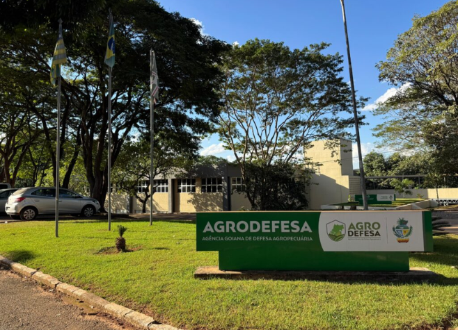 Rio Verde