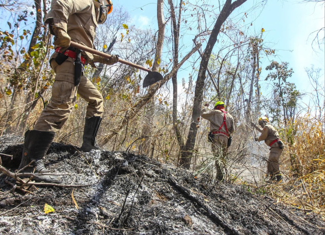 Incêndios florestais em Goiás totalizam 324 ocorrências no mês de agosto