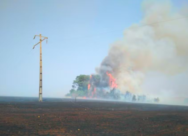  Incêndios em Goiás, próximos a redes elétricas, aumentaram 300% em 2024, segundo concessionária  