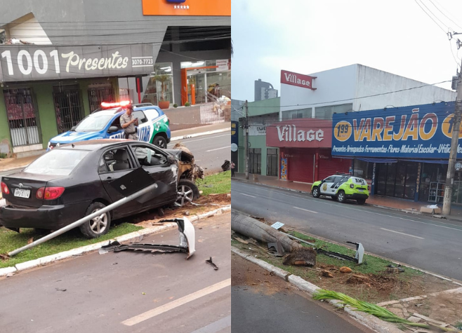 Palmeira em canteiro central da Av. Presidente Vargas é derrubada após colisão 