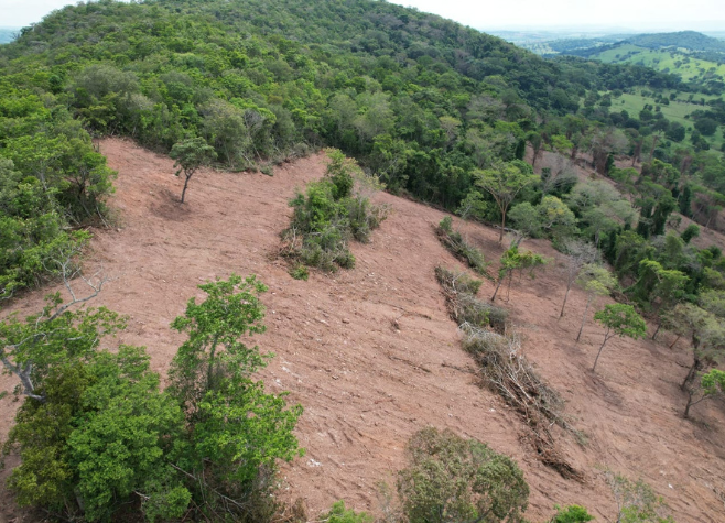 Goiás