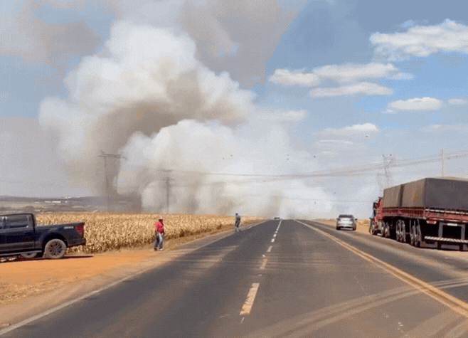 Incêndio às margens da GO-174 interdita rodovia entre Rio Verde e Montividiu