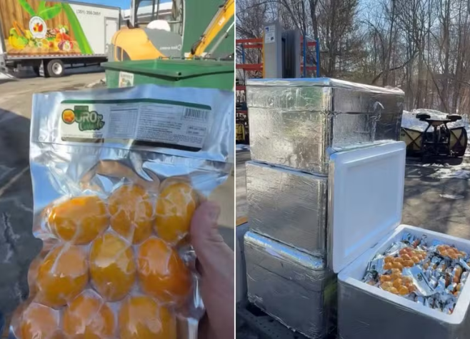 Goiano faz sucesso nos Estados Unidos vendendo pequi