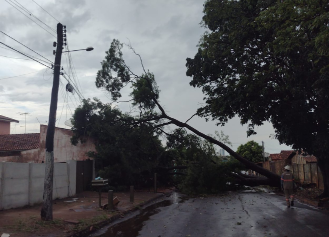 Brasil