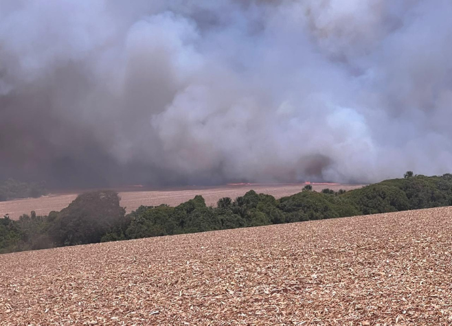 Incêndio atinge área próxima a Escola Municipal Monte Alegre em Rio Verde