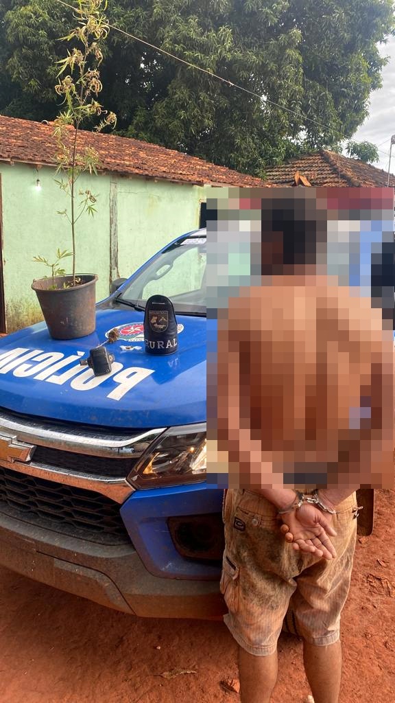 Polícia prende foragido que cultivava maconha em propriedade rural no sudoeste goiano