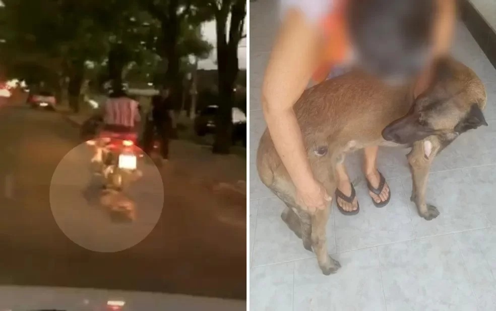 Sem perceber, cachorro é arrastado ao ter coleira presa em moto