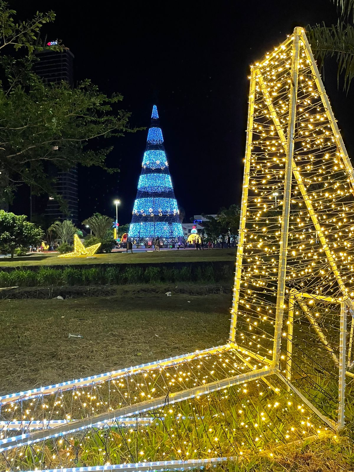 Coluna Thais Cabral: JÁ VISITOU AS DECORAÇÕES NATALINAS EM RIO VERDE?