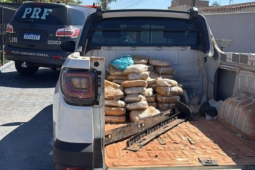 Ação conjunta apreende 90 kg de supermaconha na BR-060 em Indiara