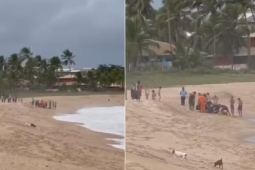 Gerente bancário de Rio Verde morre após salvar filho e sobrinho de afogamento em praia da Bahia