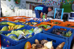 Rio Verde adere ao SISAN e fortalece políticas de segurança alimentar; entenda
