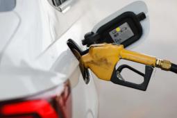 Consumidores podem ganhar opção de gasolina sem etanol; proposta avança no Congresso