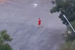 Bombeiro mata cachorro a tiros e caso gera repercussão em Goiânia; Bombeiros emitem nota