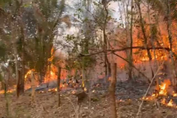 Bombeiros seguem em ação contra incêndio que já atingiu 27 mil hectares na Chapada dos Veadeiros