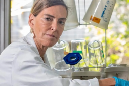 Brasileira desafia a medicina e faz tetraplégicos voltarem a andar após quase 30 anos de pesquisa; saiba quem é