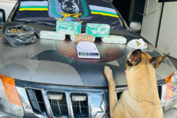 Cães farejadores encontram quase 6 kg de drogas escondidos em casa no Jardim América, em Rio Verde