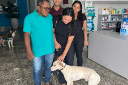 Final feliz: cachorro Herói ganha novo lar após resgate e doação da Polícia Civil em Rio Verde
