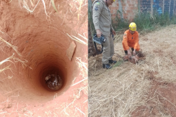 Cão é resgatado de cisterna com 10 metros de profundidade no Portal do Sol, em  Rio Verde