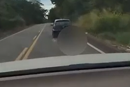 Cachorro é arrastado por carro na GO-154 e caso gera revolta; PC investiga possível crime