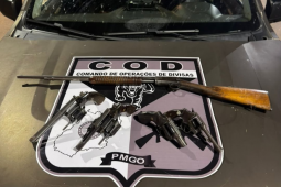 COD apreende arsenal e prende suspeito investigado por furtos em propriedades rurais perto de Acreúna